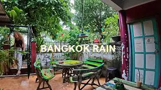 🎧Tropical Rain in the Back Yard ASMR Relaxing Sounds