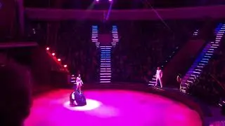 "Новогодняя сказка в цирке"