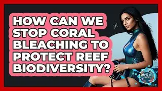 How Can We Stop Coral Bleaching To Protect Reef Biodiversity? - The Marine Life Explorer