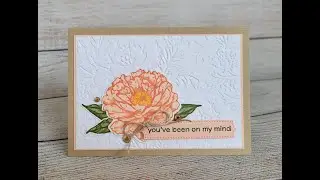 Create a Prized Peony card with an embossed floral background this week!