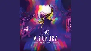 Magnolias For Ever (Live Z&eacute;nith, Strasbourg / 2017)