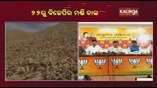 BJP hits out at Odisha government over mandi & farmers' issues || KalingaTV