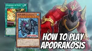 APODRAKOSIS Deck Profile 2024 | Dark Sea Serpent Dryagle Breaking the Meta