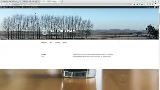 WordPress Pages