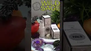 Артикул WB 238094090 масляные духи от Parfmaniac - №3 Wild Sage 5 мл  #духи #парфюмерия #косметика