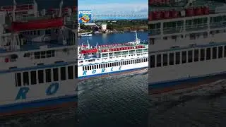 M/V IMMACULATE STARS Roble Shipping Incorporated