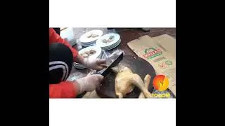 Đ&acirc;y l&agrave; c&aacute;ch chặt g&agrave; v&agrave; b&agrave;y g&agrave; đẹp, Một con g&agrave; b&agrave;y 3 đĩa