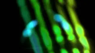 Hugo Capablanca's Aftermath Disco
