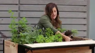 Plant a Bar