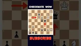 When Checkmate Feels Too Easy wow 😅 #chess #Checkmate #chesstricks