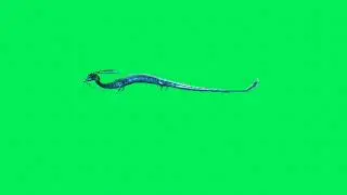 3D animals green screen video no cofyright / green screen animation animals / brain master