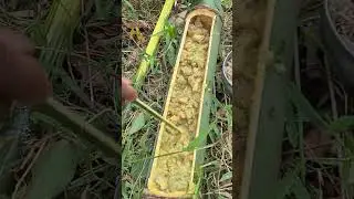 Mini vlog Bhoi lifestyle 😇 with Bamboo dishes ☮️