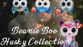 My Beanie Boo Husky Collection