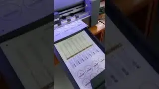 Vicut sheet fed label cutter