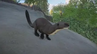 Planet Zoo Aquatic Pack: Giant Otter