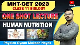 Human Nutrition | MHT CET 2023 | BIOLOGY | most important points | Line to line disccussion
