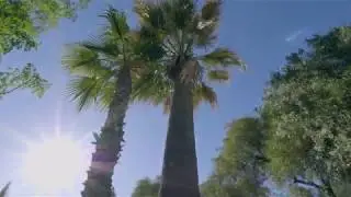 Real Estate Video - GH5 & Ronin S