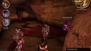 Dragon Age Origins Brutmutter