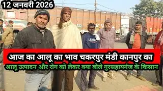 Today's potato price of Chakarpur Mandi Kanpur, 12 January 2026