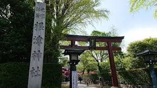 Nezu Shrine