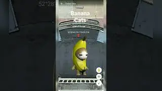 🧐 i found banana cats in google earth 🌍 #shorts #Wonders with Danny