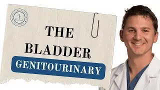 PANCE Review: The Bladder - High-Yield Insights & Study Tips for Exam Success