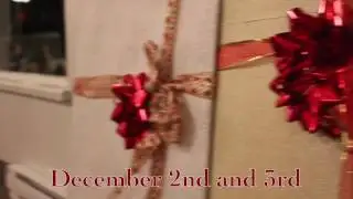 Miss Carla's Dance | The Nutcracker