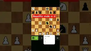 Most beautiful two knights mate you have ever seen!#chess#foryou#fypシ゚viral#fypシ #fypage#shorts