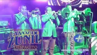 Marimba Orquesta La Voz de Zunil   Despacito