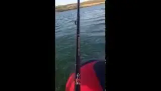 Haibo Elektrikli Bot motoru  Testi  Haibo 34 lbs Troling Motor Test