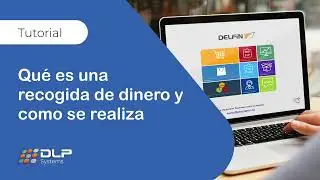 Tutorial - Qu&eacute; es una recogida de dinero y como se realiza - Delf&iacute;n Software