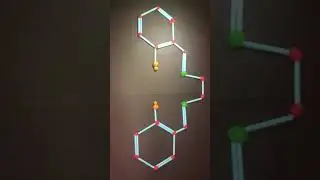 Salen receptor