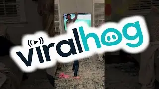 When Playing With a Pi&ntilde;ata Indoors Goes Wrong || ViralHog