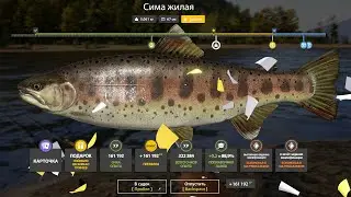ЛУЧШИЕ РАЗДАЧИ и ФАРМ СЕРЕБРА в РР4 • СУПЕР ФАРМ на ЯМЕ на МАТЧИ и МЕДНОЕ ОЗЕРО + ТАЙМЕНЬ и МЕДВЕЖКА