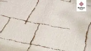 Koume Ivory & Brown Area Rug