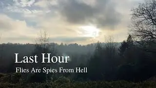 Flies Are Spies From Hell - Last Hour (Official Video)
