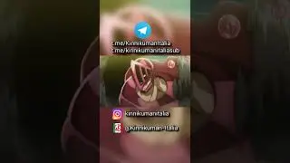 UOMO CERCHIONI vs UOMO-TERRY 