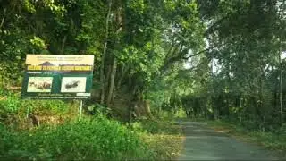 The Most Haunted place in Kerala | 25 GB Bungalow Bonacaud