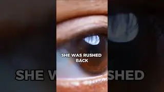 Fagilyus' Story 🤯