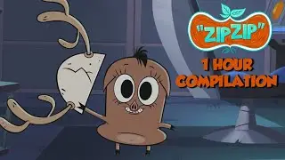 Zip Zip *Rare animals are wanted* 1 hour Season 2 - COMPILATION HD [Official] Cartoon for kids