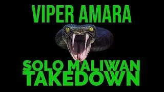 MY MALIWAN TAKEDOWN BUILD w/ GAMESAVE! // EASILY SOLO!! // Viper Amara Build