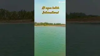 Post Conference study tour,At aqua hatch international #youtube #ytshorts #youtubeshorts #viralvideo