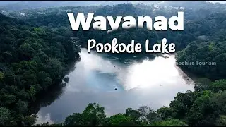 Pookode lake  - Wayanad | Manodhira Tourism #wayanad #kerala  #drone #droneview   #tour #tourism