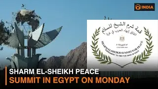 Sharm El-Sheikh Peace Summit: Global Leaders Seek End to Gaza Conflict | DD India