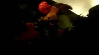 Splash Mountain Animatronic Broken