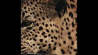 [FREE] KANYE WEST x TY DOLLA $IGN x EXPERIMENTAL TYPE BEAT - 