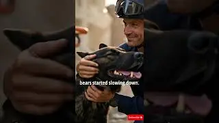 Uratował 47 istnień. Jego ostatnia misja złamie ci serce. 🐾💔