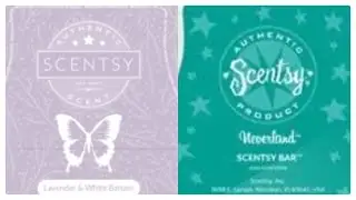 Tester Tuesday #90 Lavender & White Balsam and Neverland (Scentsy Reviews)