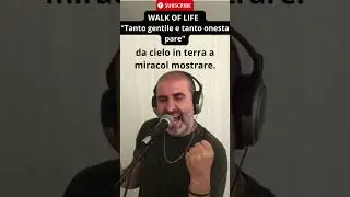 WALK OF LIFE DIRE STRAITS e DANTE Tanto gentile e tanto onesta pare  LOOPAND #shorts #rock #cantante