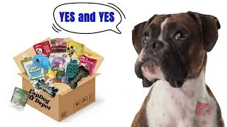 LapDog Drop Box Monthly Subscription #dog #dogmom #lapdogs #rescuedoglove #boxerdog